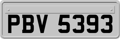 PBV5393