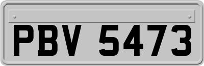 PBV5473