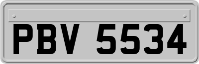 PBV5534