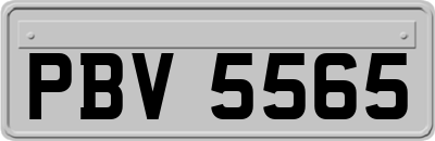 PBV5565