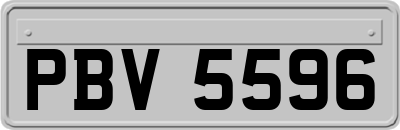 PBV5596