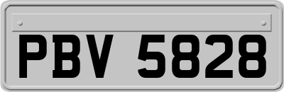 PBV5828