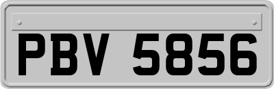 PBV5856