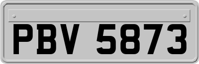 PBV5873