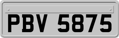 PBV5875