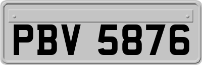 PBV5876