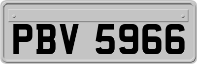 PBV5966