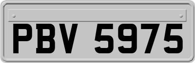 PBV5975