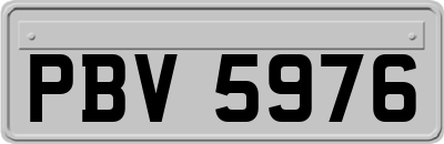 PBV5976