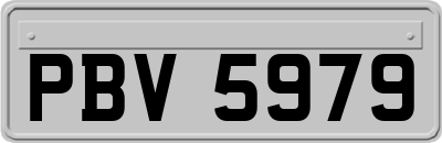 PBV5979