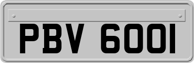 PBV6001