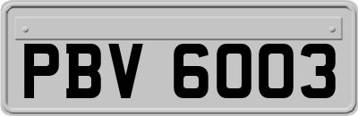 PBV6003