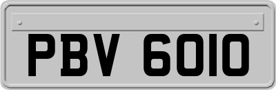 PBV6010