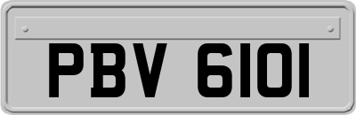 PBV6101