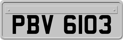 PBV6103