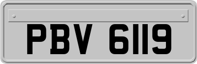 PBV6119