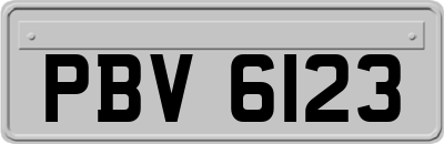 PBV6123