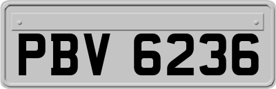 PBV6236