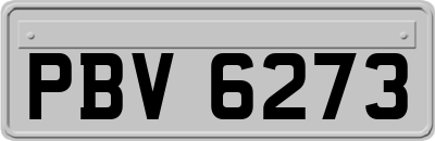 PBV6273