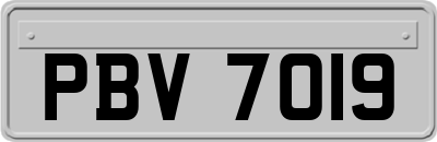 PBV7019