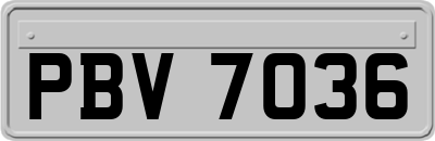 PBV7036