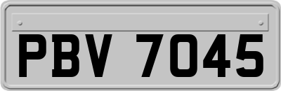 PBV7045