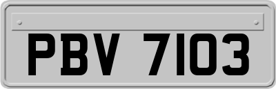 PBV7103