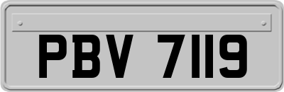 PBV7119