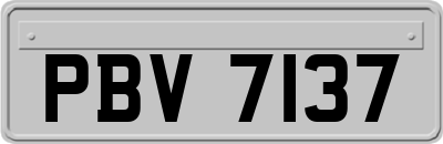 PBV7137