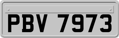 PBV7973