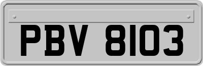 PBV8103