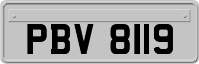 PBV8119