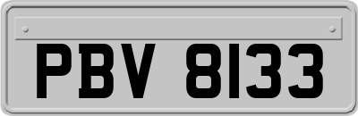 PBV8133