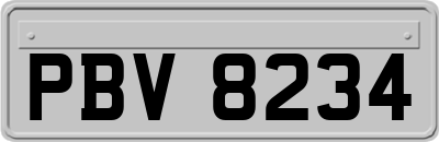 PBV8234