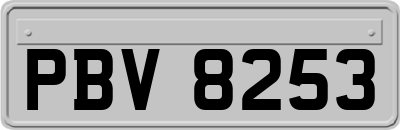 PBV8253