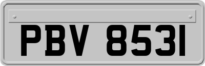 PBV8531