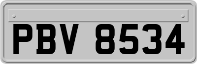 PBV8534