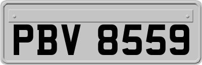 PBV8559