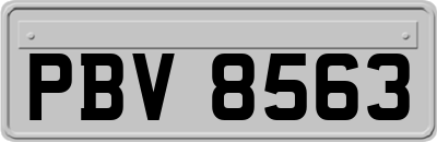 PBV8563