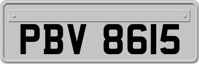 PBV8615