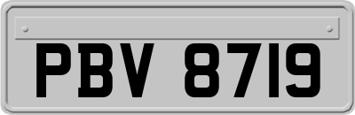 PBV8719