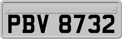 PBV8732