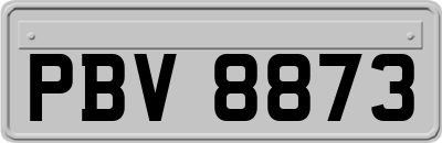 PBV8873