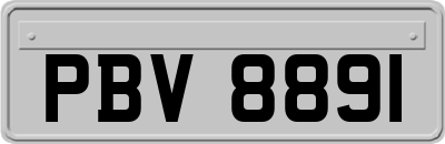 PBV8891