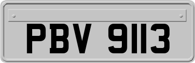 PBV9113