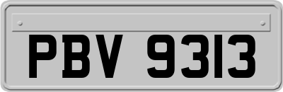 PBV9313