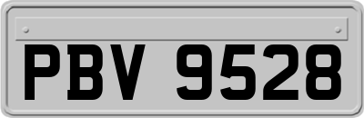 PBV9528