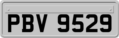 PBV9529