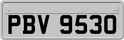 PBV9530