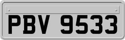 PBV9533